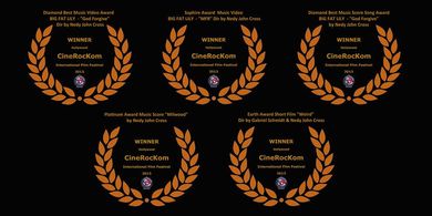 film festival awards 2013