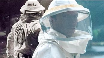 Beekeeper in WnadaVision