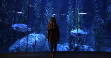 Juliet Rusche in Forever Fish