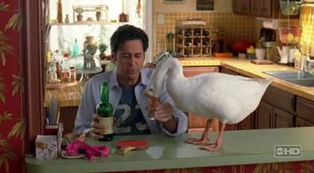 Jonathan Silverman in In Case of Emergency (2007)