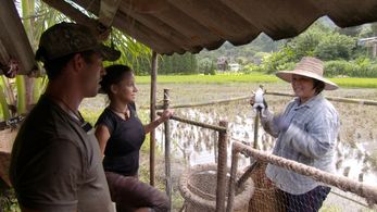 Cody Nickson and Jessica Graf in The Amazing Race (2001)