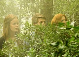 Rachelle Lefevre, Colin Ford, and Mackenzie Lintz in Under the Dome (2013)