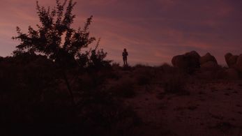 Olivia Castanho in Late Night Swim