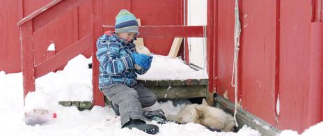 Samuel Collardey in A Polar Year (2018)