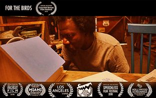 For The Birds #Henry