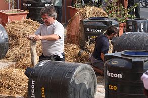 Michael Munoz in The Amazing Race (2001)