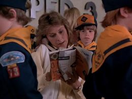 Kate Jackson and Paul Stout in Scarecrow and Mrs. King (1983)