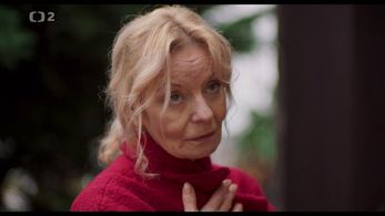 Vilma Cibulková in Zeny, které nespí (2020)