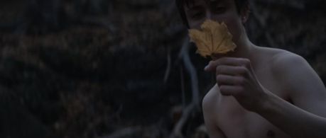 Owen Campbell in Super Dark Times (2017)