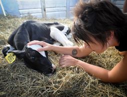 Liz Marshall with Sonny on his rescue day, 