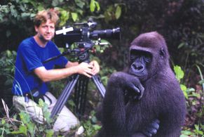 Andrew Young filming gorillas in Congo Republic.
