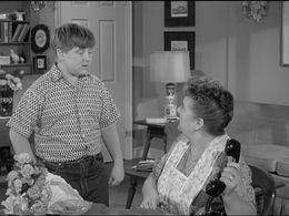 Madge Blake and Robert 'Rusty' Stevens in Leave It to Beaver (1957)