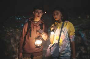 The Curious Case of Dolphin Bay