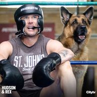 Diesel vom Burgimwald and John Reardon in Hudson & Rex (2019)