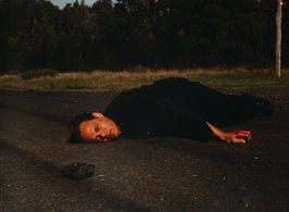 Play Dead - Film by Hilial Bayer