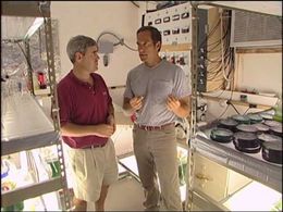 Mike Rowe in Dirty Jobs (2005)