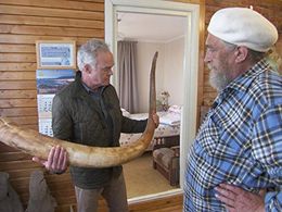 Scott Pelley in 60 Minutes (1968)