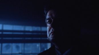 Don S. Williams in The X-Files (1993)