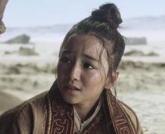 Follower (3 body problem)