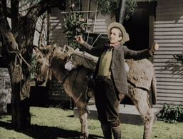 Harry Myers in Managed Money (1934)