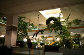 Timothy Eulich overseeing stunt rehearsals on 