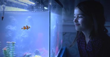 Juliet Rusche in Forever Fish