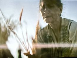 Rebel Moon 2: The Scargiver