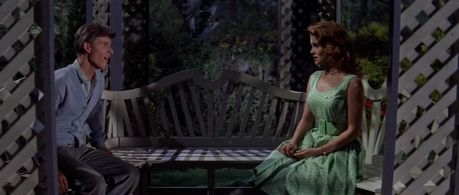 Ann-Margret and Bobby Rydell in Bye Bye Birdie (1963)