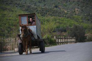 Sindi Lacej in The Forgiveness of Blood (2011)