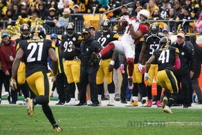 Larry Fitzgerald in All or Nothing: A Season with the Arizona Cardinals (2016)