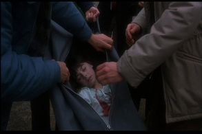 Erika Katz in Amityville II: The Possession (1982)