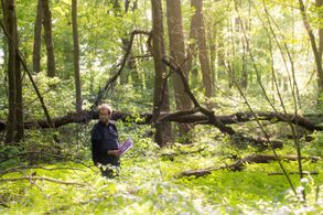 On the set of The Shade Shepherd