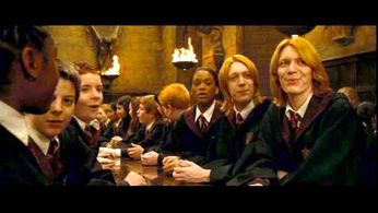 Tiana Benjamin as Angelina Johnson in Harry Potter and the Goblet of Fire