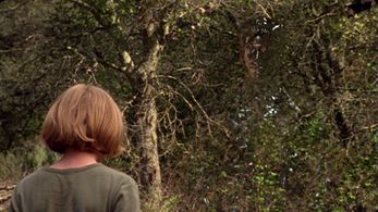 Landry Allbright in The Invisible Man (2000)