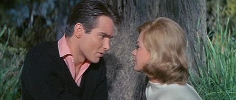 Sandra Dee and Philippe Forquet in Take Her, She's Mine (1963)