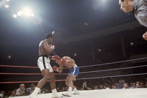 Color, Boxing, Sport, Trunks, Gloves, Fight, vs., versus, v., Ring, Sports, Boxing mptv_2018_May_to_August_Update