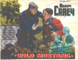 Harry Carey, George Chesebro, Barbara Fritchie, Katheryn Johns, Bob Kortman, and George Morrell in Wild Mustang (1935)