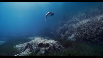 Estrella Damm Campaign