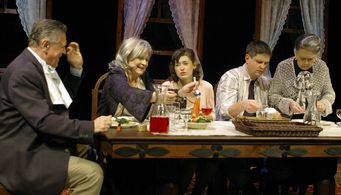 Jana Hlavácová, Jirina Jirásková, Petr Kostka, Lucie Stepánková, and Michal Novotný in Famílie (2010)