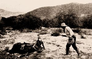 Ruth Roland in The Tiger's Trail (1919)