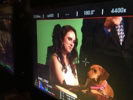 Rachel Alana Handler in Smothered (2016)