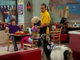 Leo Howard, Dan Ahdoot, and Olivia Holt in Kickin' It (2011)