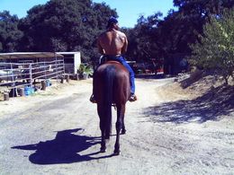 Tony Curtis Blondell