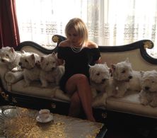 Still: MV 'Let's Give me A Try' The Wombats