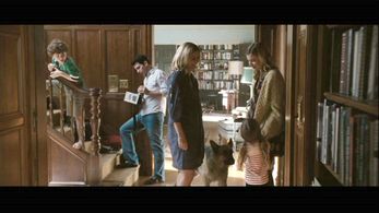 Susan Traylor in Greenberg