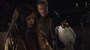 Still from FBI episode 18 with Julian McMahon