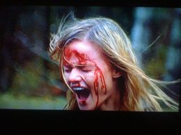 Lindsay Pulsipher in The Oregonian (2011)