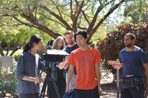 Running - Peter Thurnwald