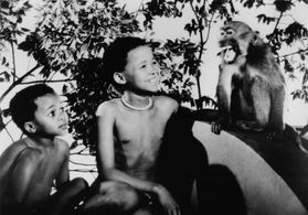 Eiros and Nadies in The Gods Must Be Crazy (1980)