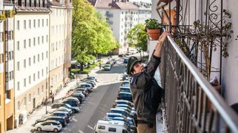 Helmfried von Lüttichau in Hubert und Staller - Unter Wölfen (2016)